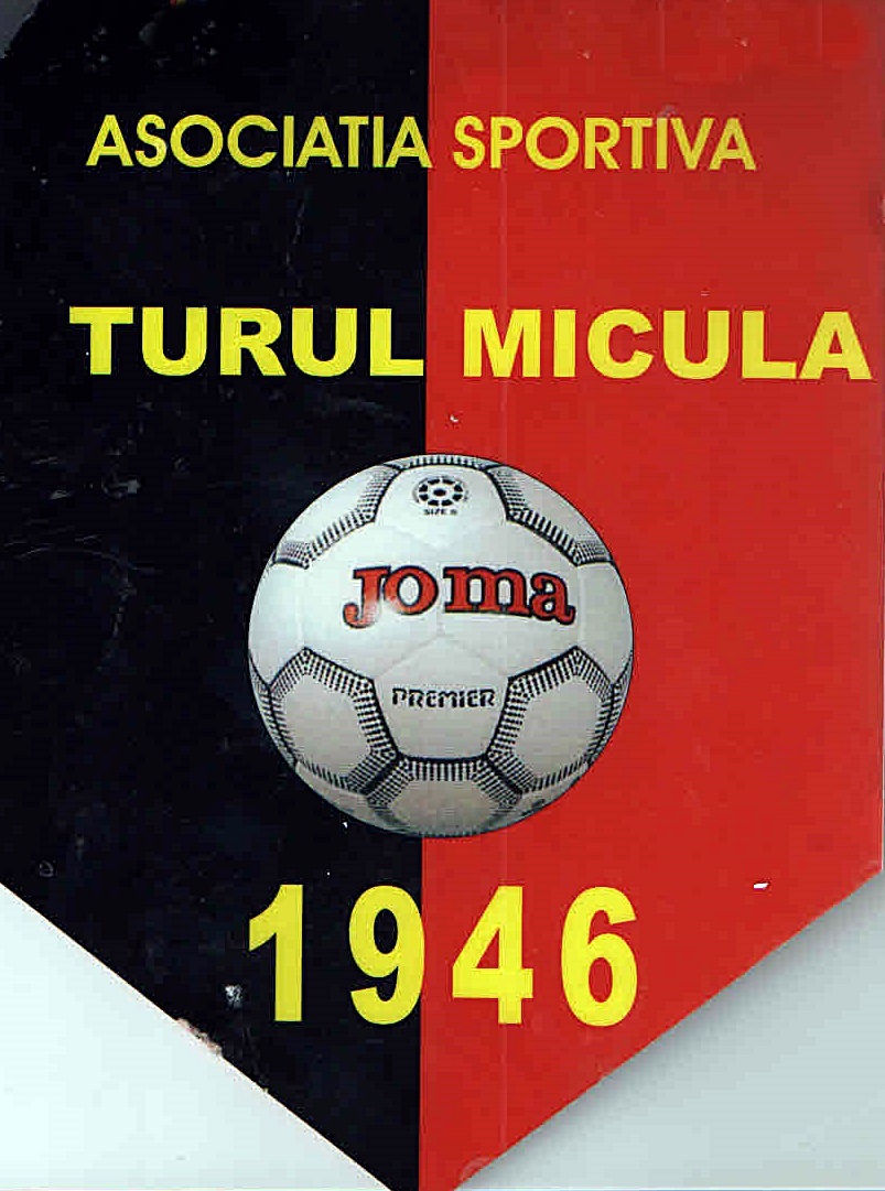 Turul Micula