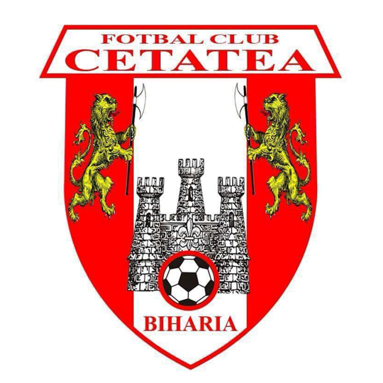 Cetatea Biharia