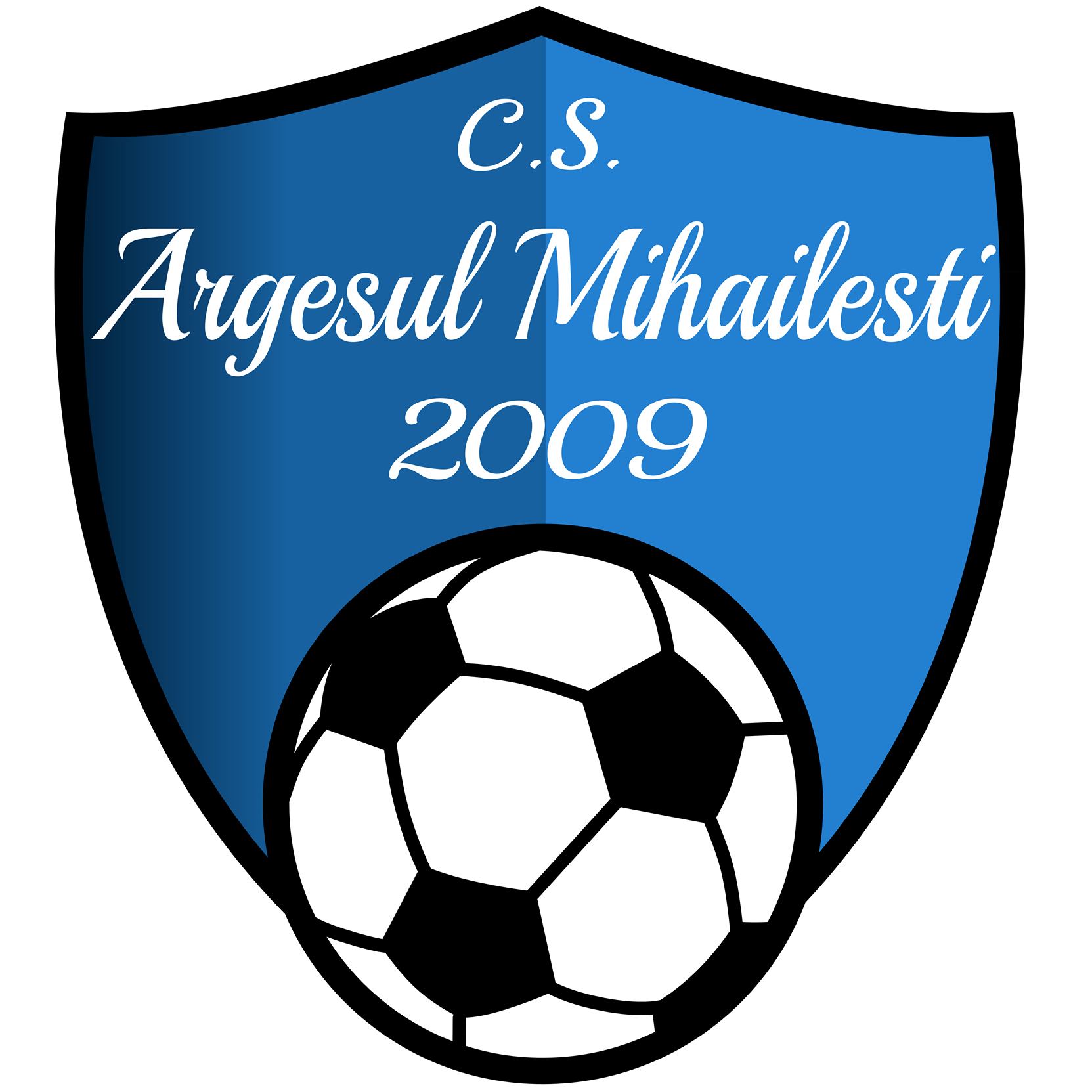 CS ARGESUL 2009 MIHAILESTI