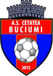 Cetatea Buciumi