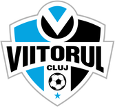 ACS ACADEMIA DE FOTBAL VIITORUL CLUJ