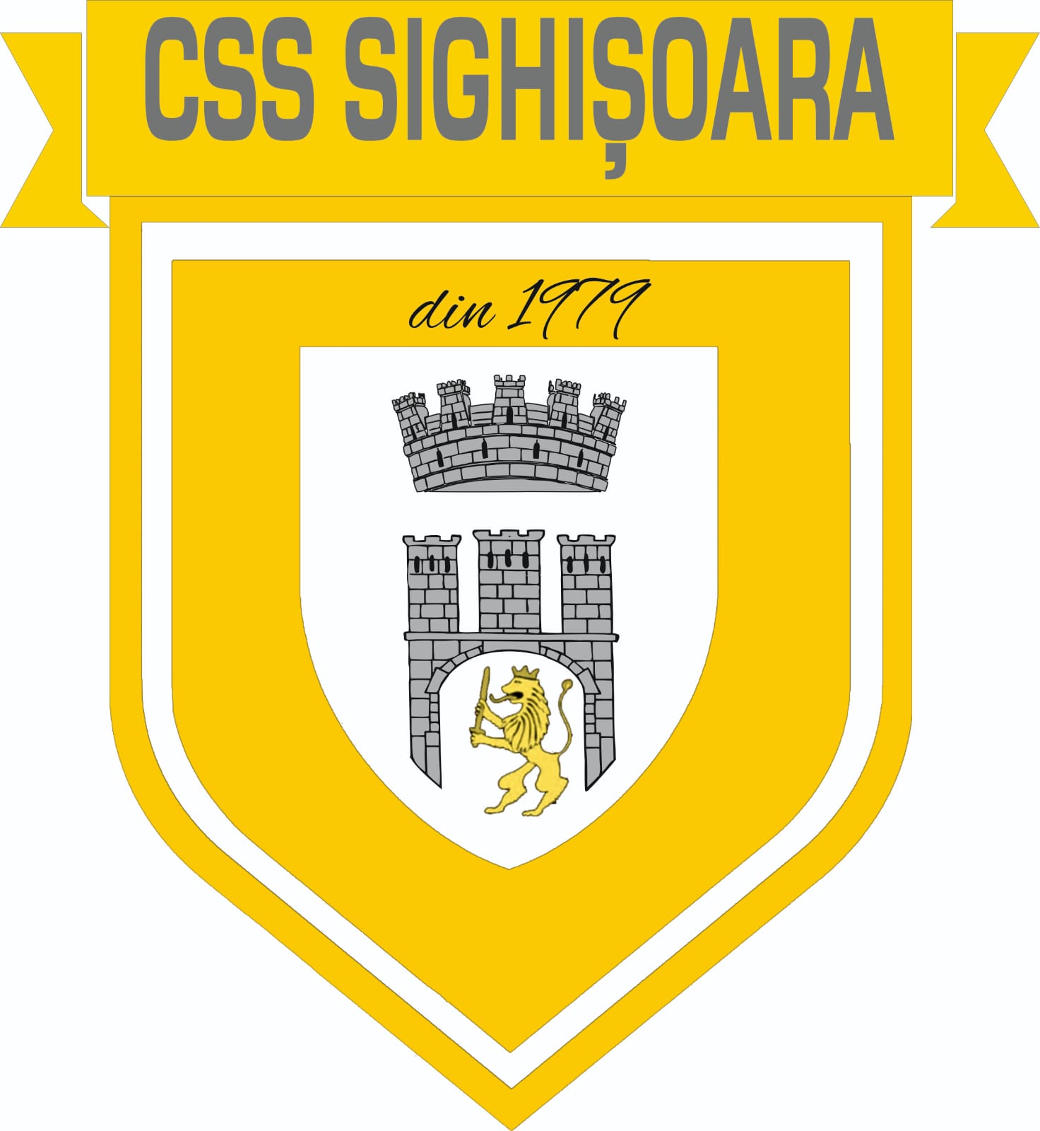 C.S.S. SIGHISOARA