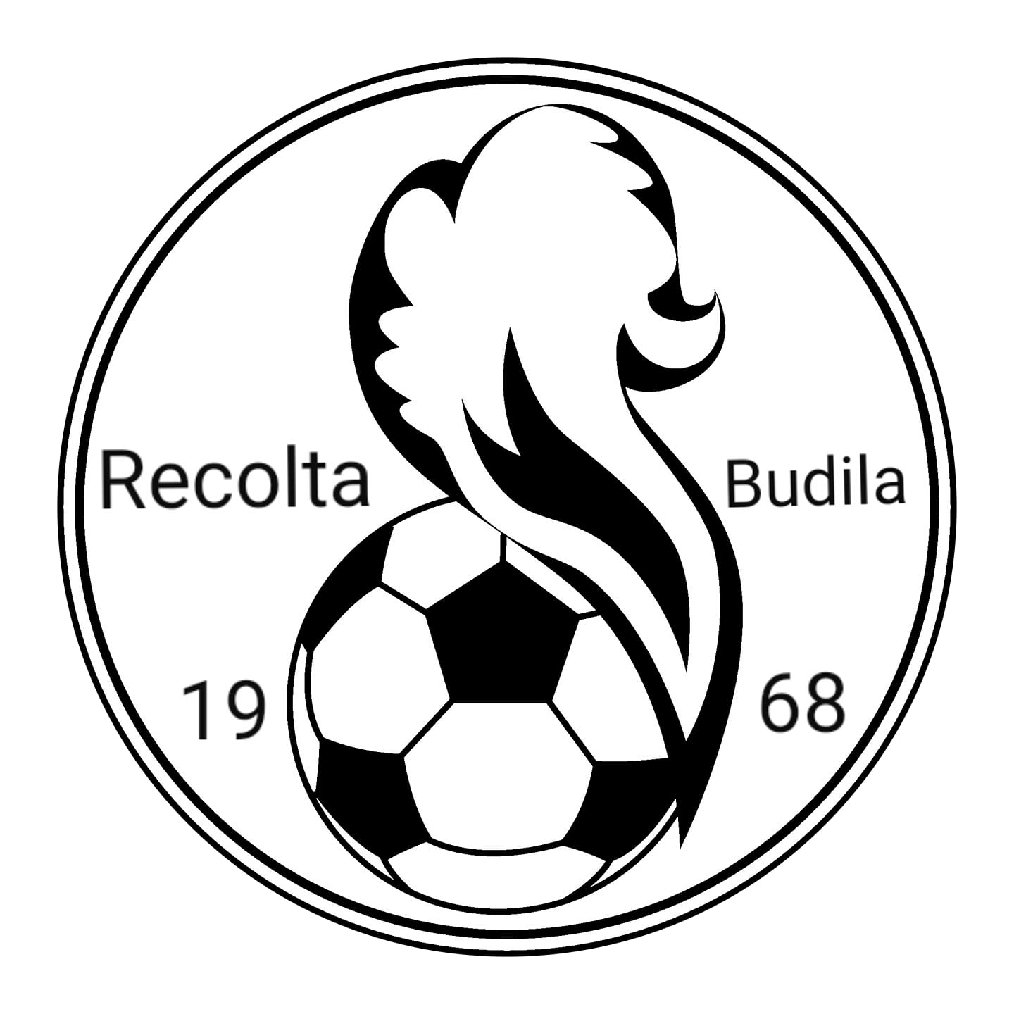 A.S. Recolta  Budila