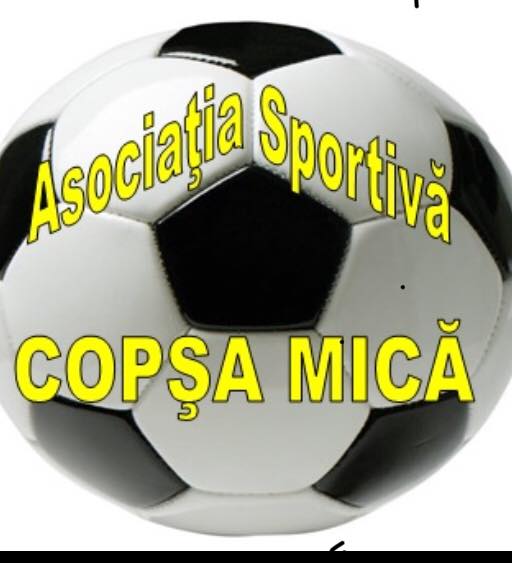 AS Copsa Mica