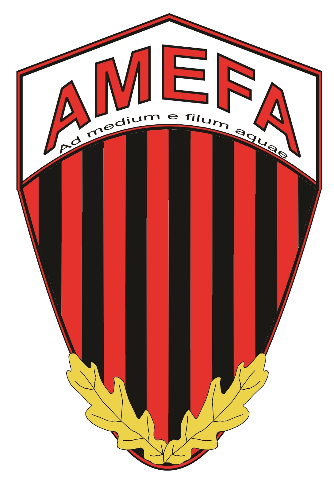 A.S. AMEFA Cluj Napoca