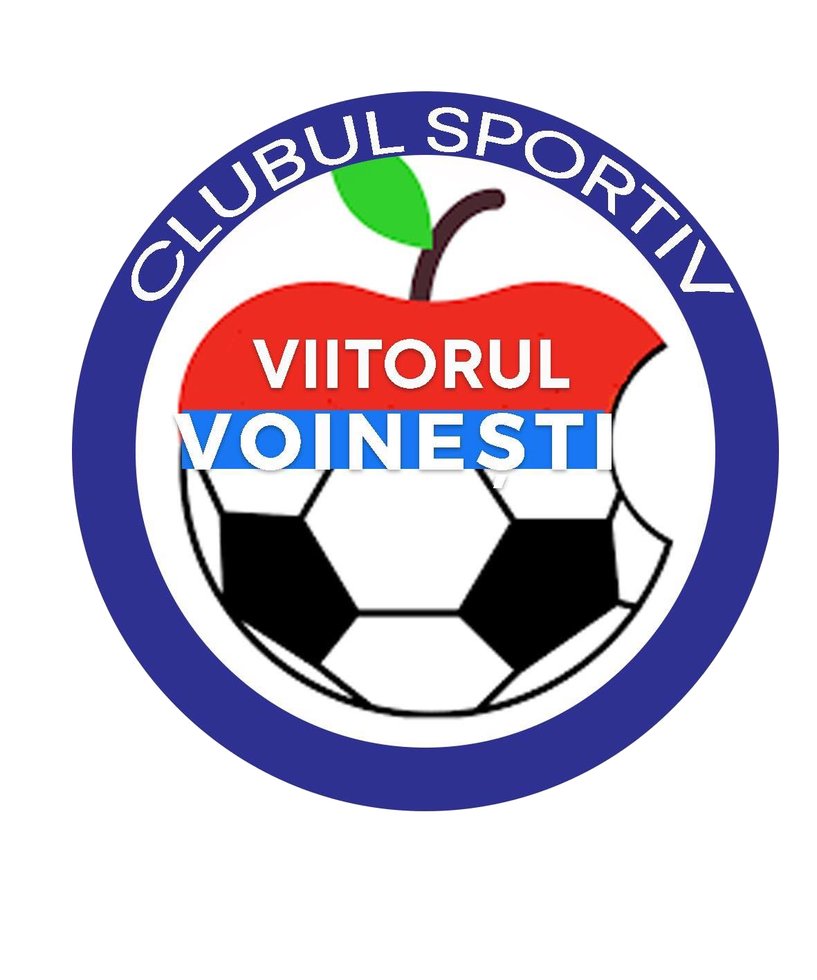 ACS Viitorul Voinesti