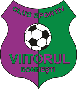 ACS VIITORUL DOMNESTI