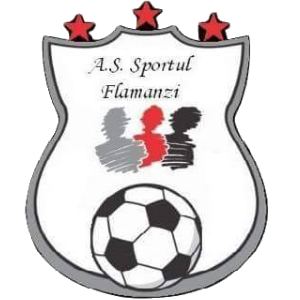 ACS Sportul Flamanzi