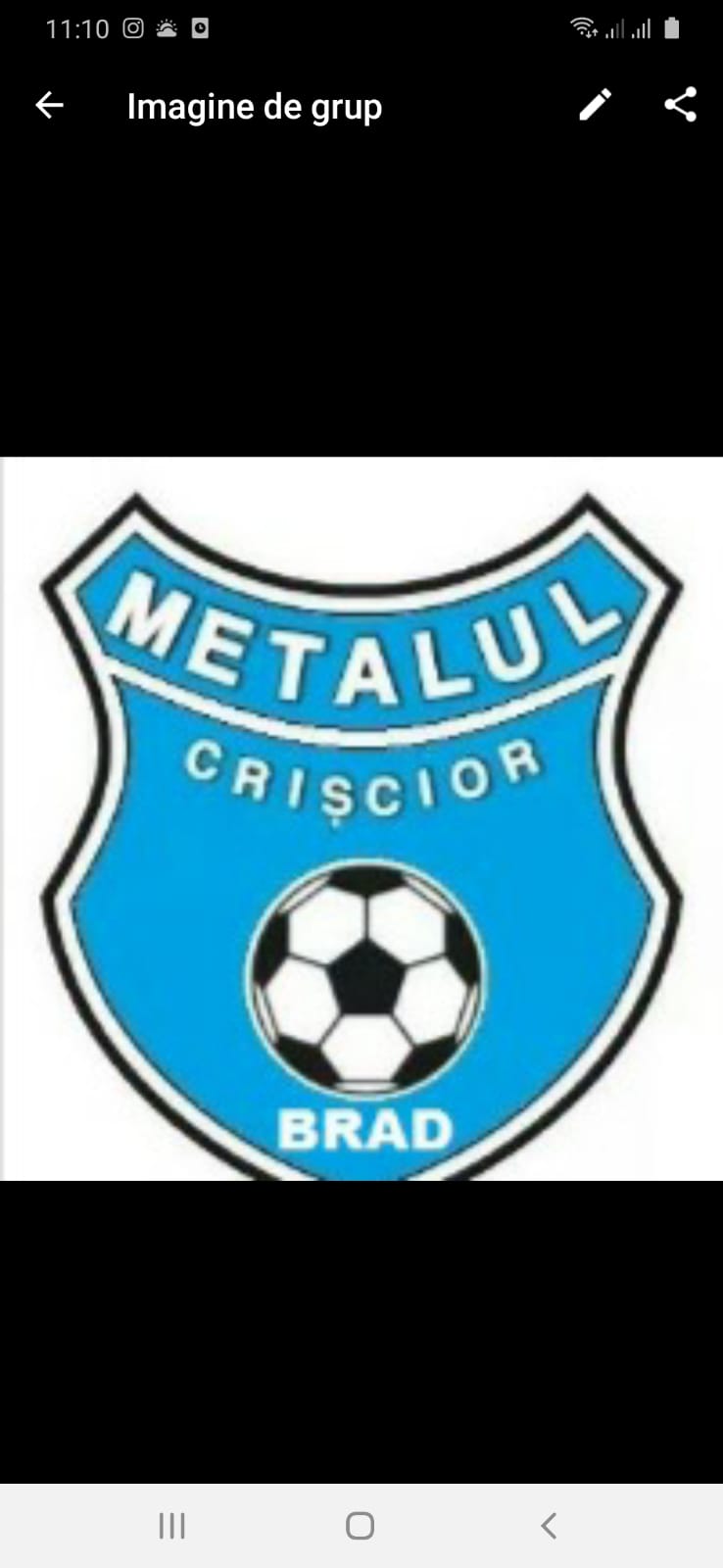 AS Metalul Crişcior Brad