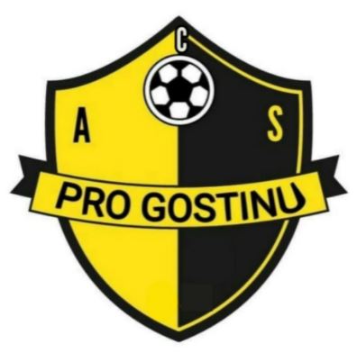 ACS PRO GOSTINU