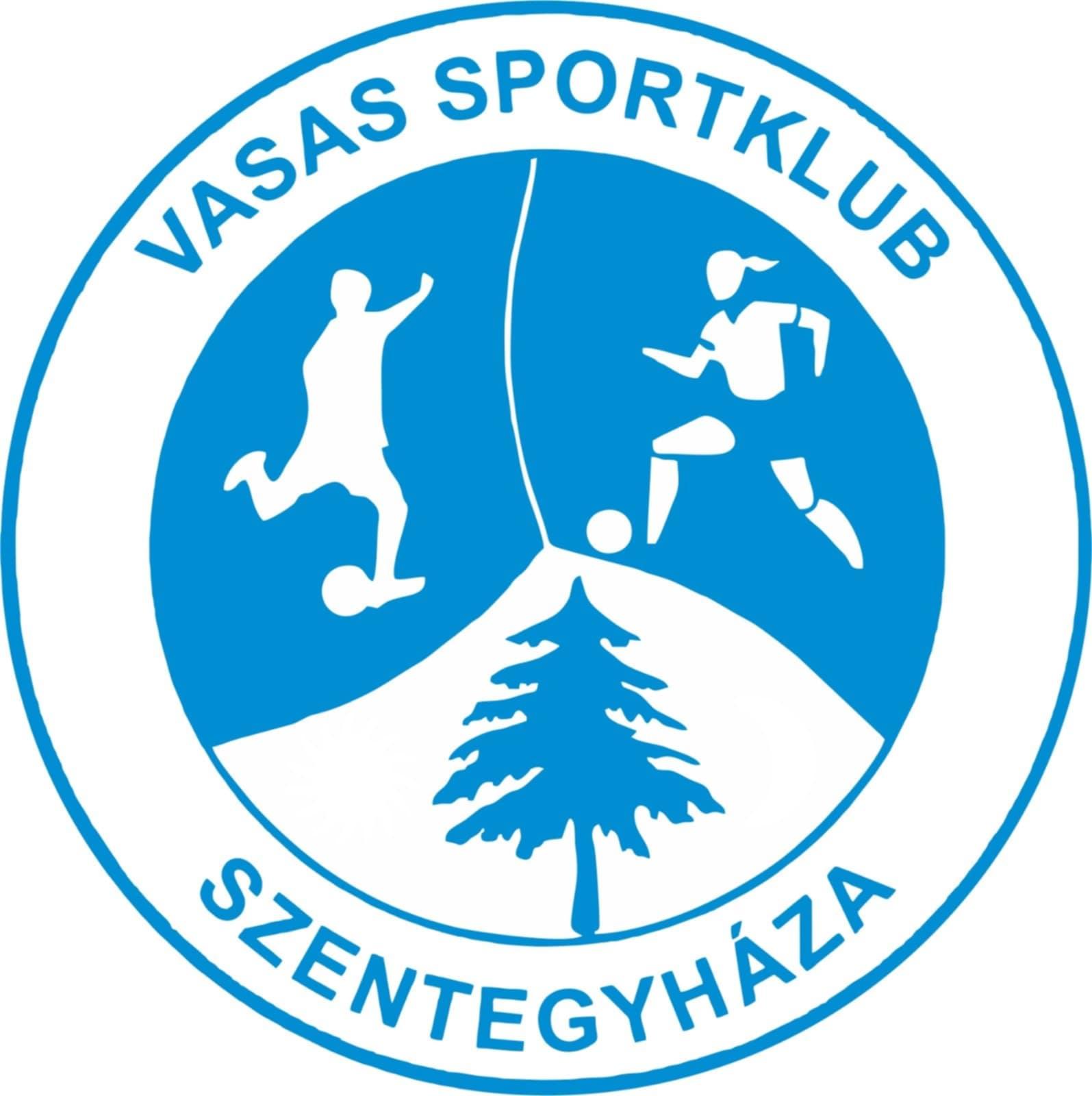 CS Metalul Vlăhiţa 2