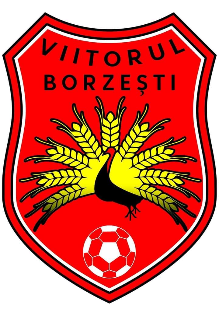 FC Viitorul Borzesti