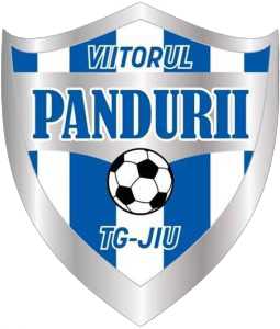 ACS Viitorul Pandurii Târgu Jiu