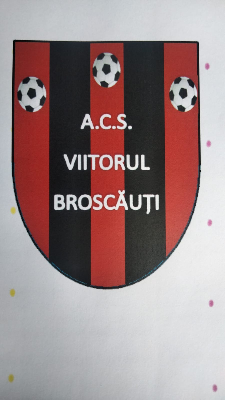 ACS Viitorul Broscauti