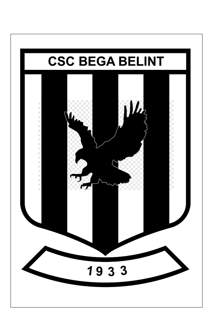 CSC Belinț