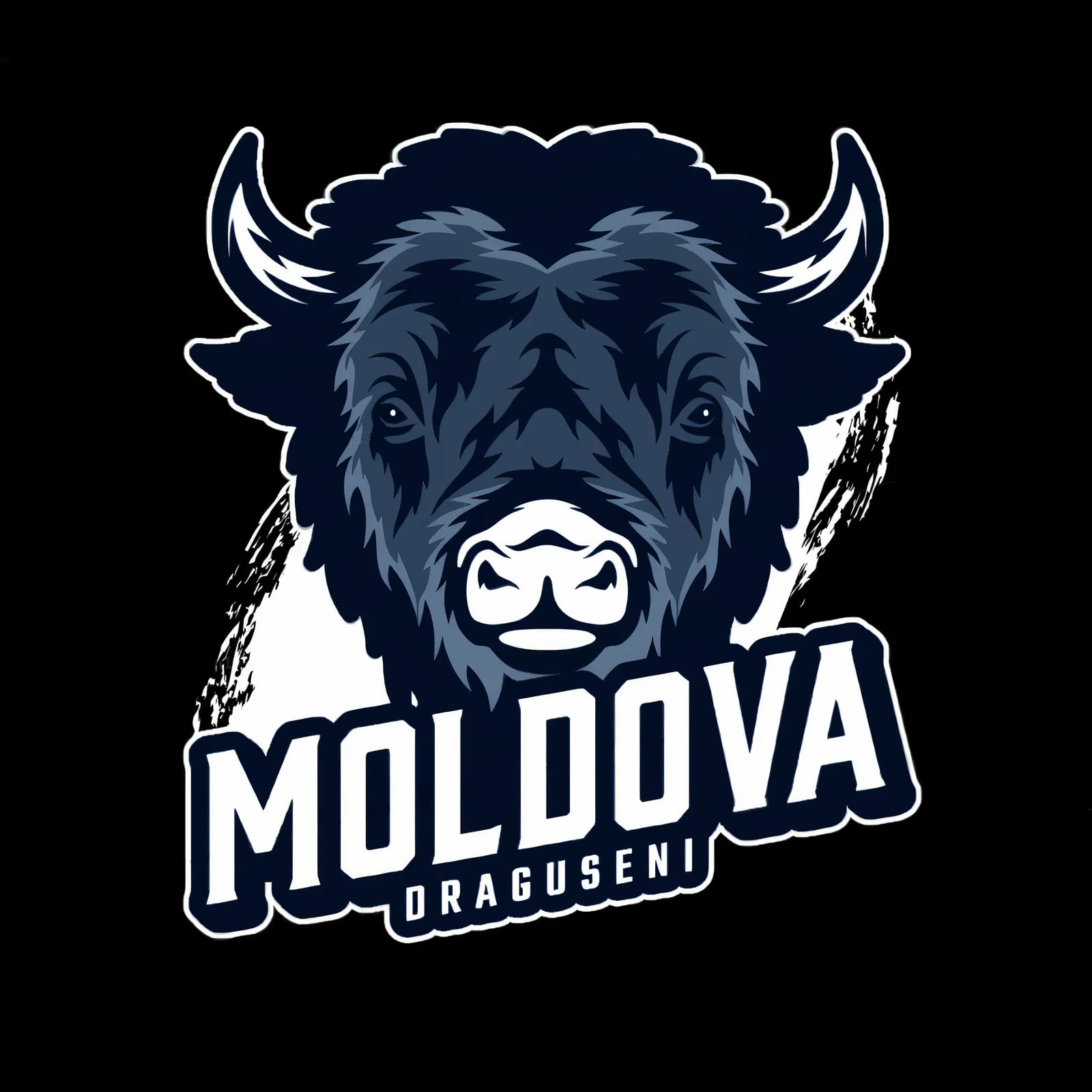 ACS Moldova Draguseni