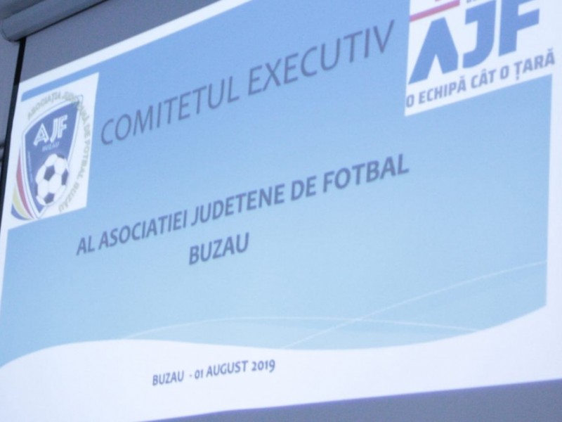 COMITETUL EXECUTIV