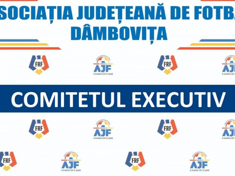 Hotărârea Comitetului Executiv 29.06.2021