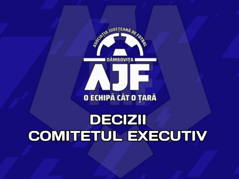 Hotararea Comitetului Executiv din 28.06.2023