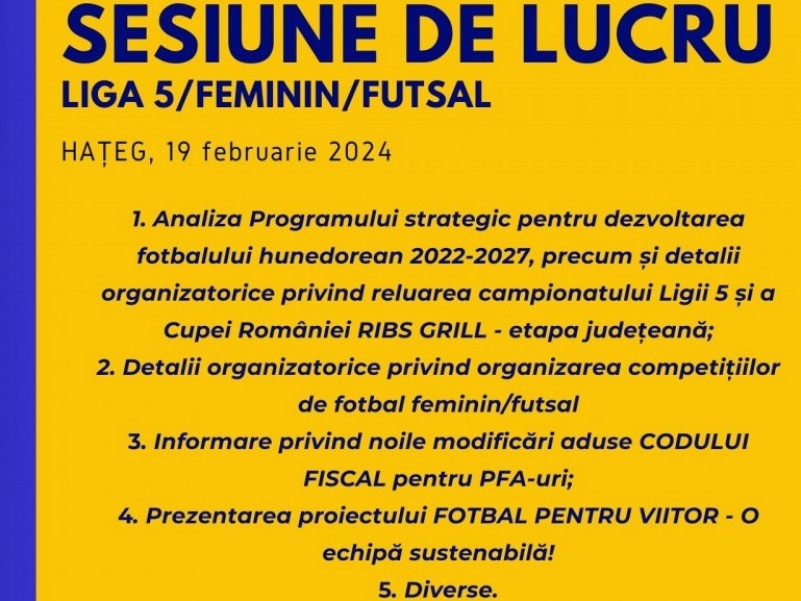 Sesiune de lucru - LIGA 5/FEMININ/FUTSAL
