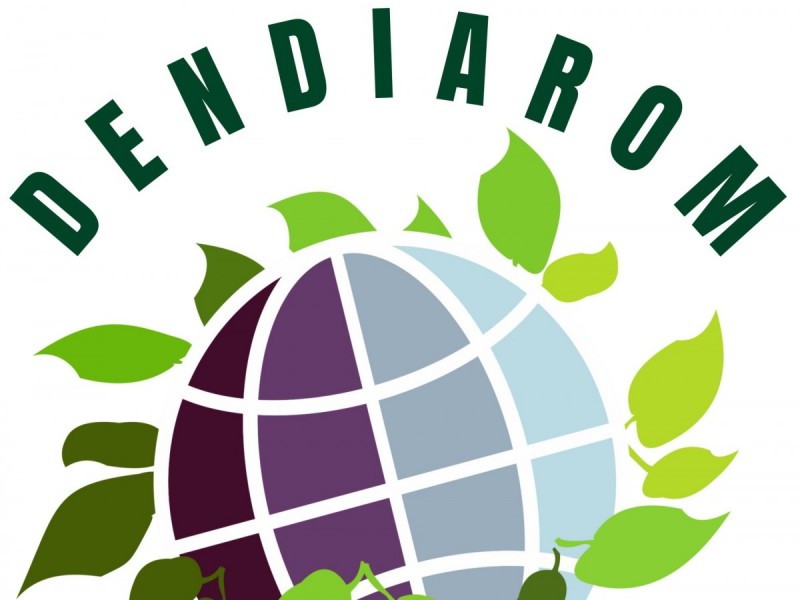 SC Dendiarom Management SRL susţine fotbalul amator din Satu Mare! SC Dendiarom Management SRL susţine fotbalul amator din Satu Mare!